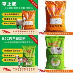 羊吃什么飼料長得快？科學養羊飼料指南