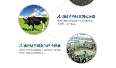 澳洲德運奶粉的濃郁奶香 為何消費者一致稱贊